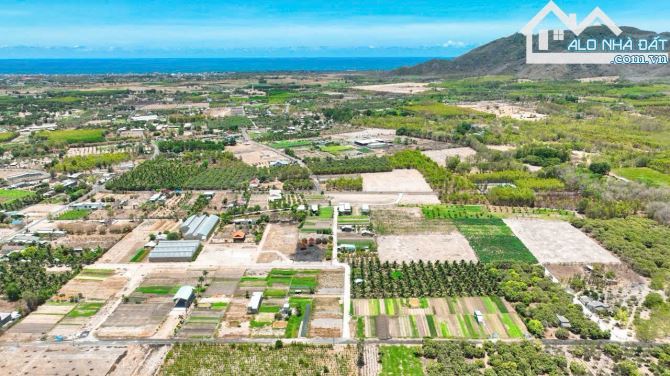 🌄 BÁN ĐẤT TT PHƯỚC HẢI – VIEW NÚI, GẦN BIỂN, 1473M² – GIÁ 4.5 TỶ - 2