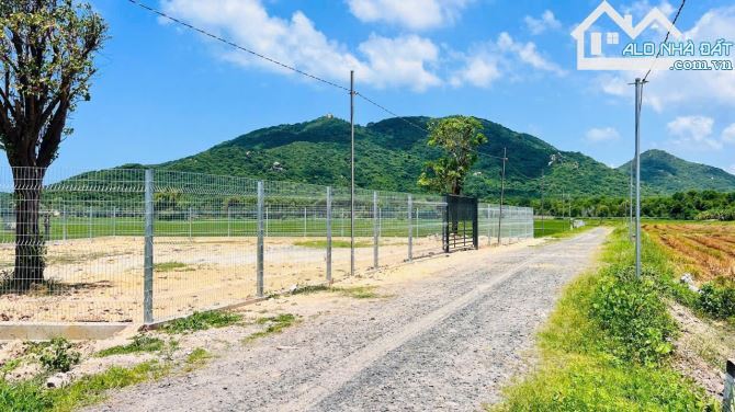 🌿 BÁN ĐẤT TT PHƯỚC HẢI – VIEW NÚI, GẦN BIỂN, 689.5M² – GIÁ 4.2 TỶ - 2