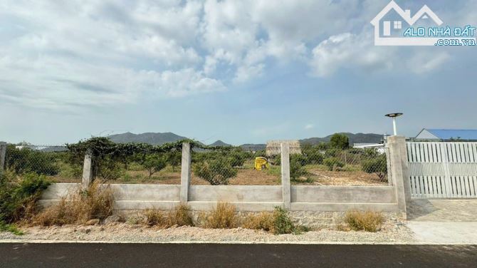 🌿 Nhà lưng tựa núi, gần biển Phước Hải, 782m2, vườn cây ăn trái, Long Mỹ BRVT - 2