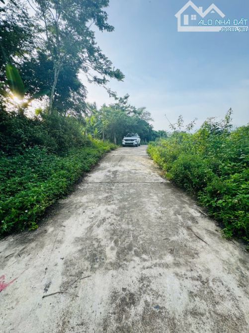 💥B.án đất đẹp xã Khánh Bình – Huyện Khánh Vĩnh. 1625m2 Full Thổ cư, đầu tư cực đẹp💥 - 2
