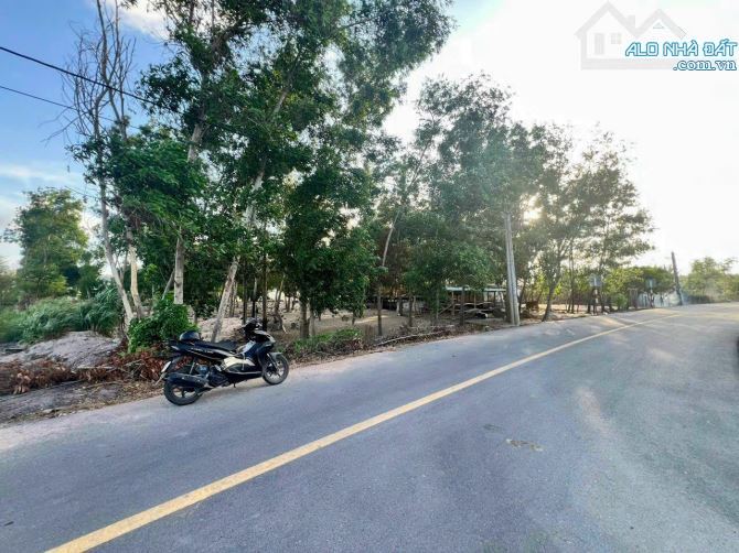 🌟 Bán Đất Long Mỹ - Đất Đỏ - BRVT Sát Nhập Thị Trấn Phước Hải - 2