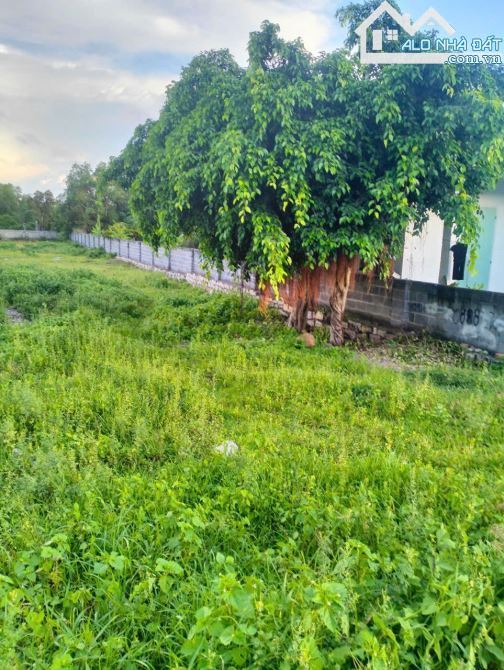 🏡 Bán 2 Lô Đất Thị Trấn Phước Hải - BRVT, Vị Trí Đẹp, Tiện Ích Đầy Đủ - 2