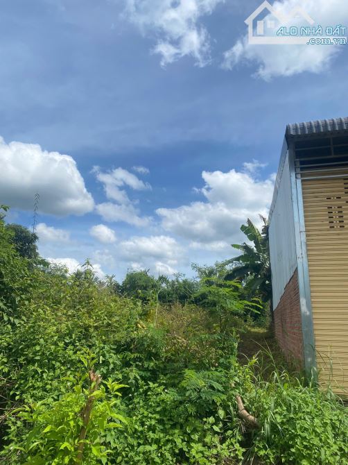 BÁN ĐẤT HẺM CẤP 1 – ĐẠI LỘ ĐÔNG TÂY, PHƯỜNG TÂN LẬP (HÒA THẮNG CŨ), TP. BUÔN MA THUỘT 🏡 - 2