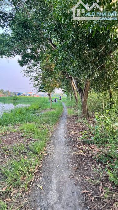 Bán 4500m2 đất Lúa - Gần cầu cây khô - Cách Nguyễn Bình 120m..... - 2