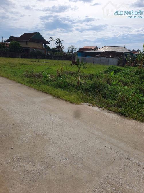 Bán 942m2 đất đẹp Xóm Trường Sơn Nghi Trường - Nghi Lộc - 2