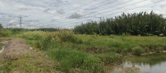Bán 6200m2 đất CLN - Giáp ranh GS Hàn Quốc 350ha - Siêu đầu tư - 2