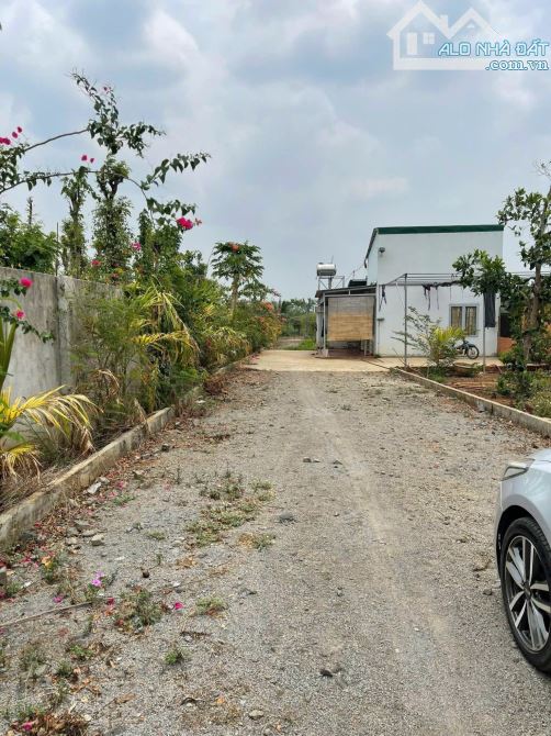 BÁN NHÀ VƯỜN 6.5 SÀO VIEW RUỘNG XÃ HOÀ KHÁNH TP BMT - 2
