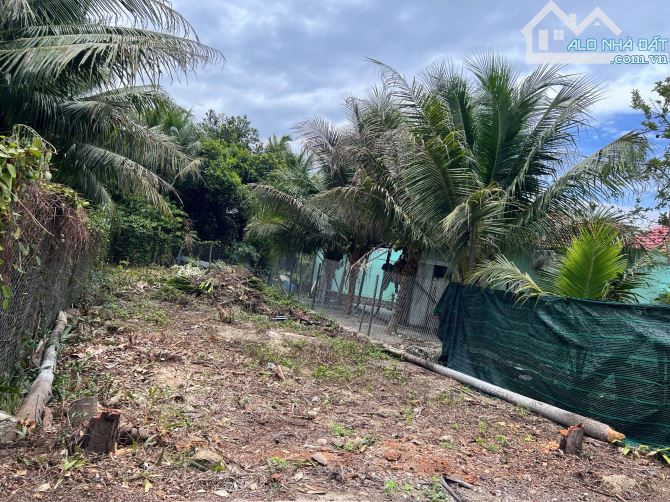 Đất Vĩnh Hiệp phường Tây Nha Trang dt 112m2 đường ô tô đất vuông vắn - 2