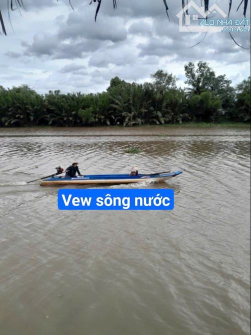 1500m2 vườn vew sông 1,1 tỷ tân trụ_Long an đường ôtô làm nhà vườn oke - 2