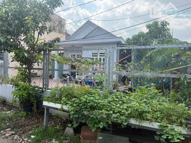 Bán 365m2 đất có sẵn căn nhà cấp 4 - đường oto - gần bờ bao sông Sài Gòn, ql13 - 2