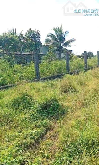 B.á.n (16x41) đất thổ, ôtô gần ngã tư Bình Ân, Gò Công Đông, Tiền Giang cũ - 2
