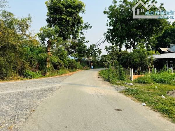 ĐẤT NGỘP CC GỬI RA GẤP LÔ ĐẤT NGAY TT.CỦ CHI - 2