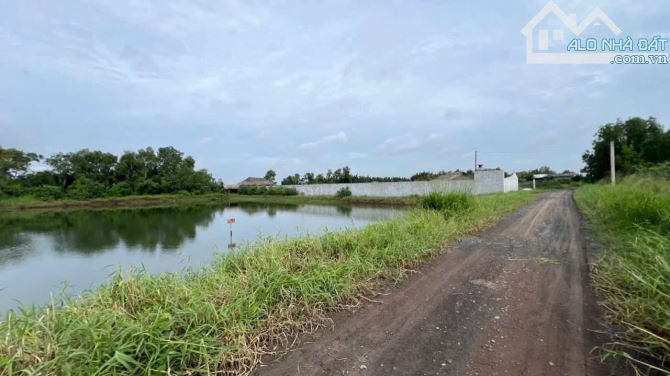 Đất lúa giáp mặt tiền sông và đê bao sông Vàm Cỏ Đông DT: 110x70m - 2