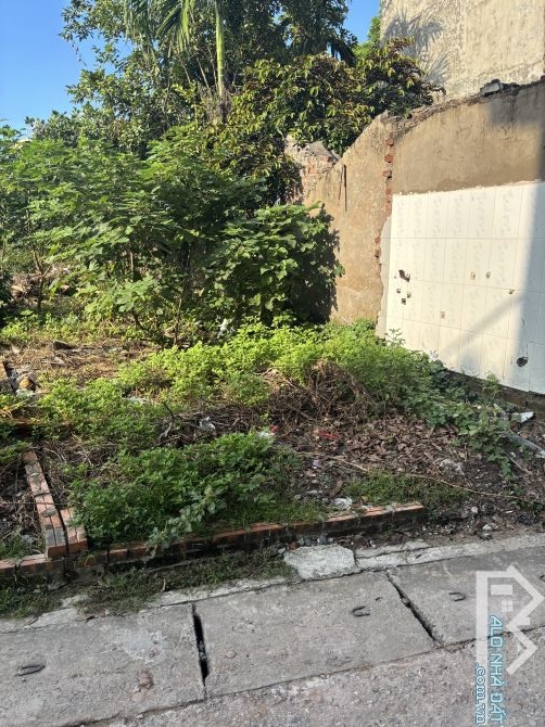 Bán đất ninh xá ninh sở thường tín Dt -48,6 m giá 4,37 tỷ có thương lượng - 2