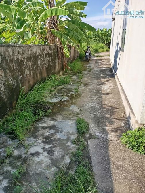 70,2m2 Kim Đới 1, Hữu Bằng, Kiến Thụy - 2