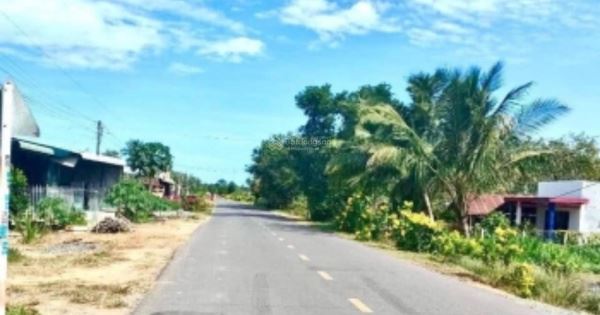 Cần bán gấp lô đất ngộp 200m2 chỉ 540 triệu Dầu Tiếng Bình Dương - 2