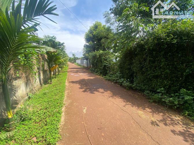 HẺM C1 NGUYỄN XUÂN NGUYÊN, BUÔN NAO A 1Tỷ780Tr - 2