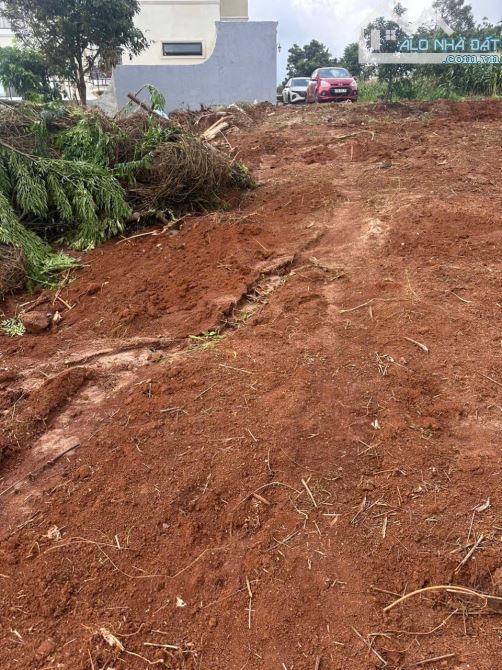 LÔ 5700m2 ĐẤT THỔ CƯ MẶT HỒ ĐẠT LÝ 6.5Tỷ - 2