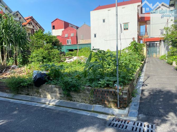 💥 SIÊU HIẾM – LÔ GÓC 47,5m² NGÕ THÔNG Ô TÔ – VỊ TRÍ VÀNG GẦN CAO TỐC NHẬT TÂN - NỘI BÀI - 2