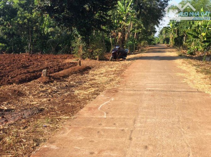 BÁN NHANH LÔ ĐẤT EA PỐK CÁCH TRỤC QUY HOẠCH 17m chỉ (80m) - 2