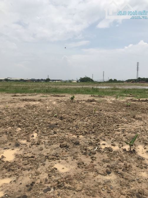 Chuyển nhượng 5.000m2 khu công nghiệp Lương Điền – Cẩm Giàng – Hải Dương - 3