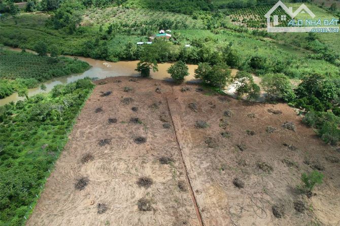 2,8hecta đất view suối đẹp sổ sẵn tại quảng hiệp giá chỉ 2,2tỷ - 3