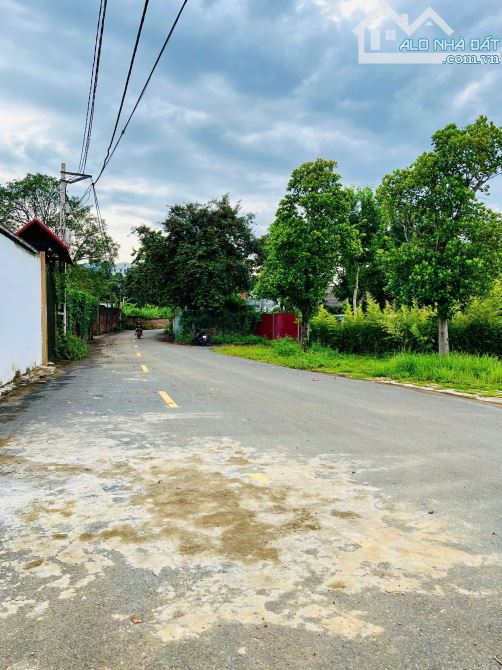 ĐẤT ĐẸP, GIÁ RẺ 300M2 PHÚ CÁT, GẦN ĐƯỜNG QL21 - 3