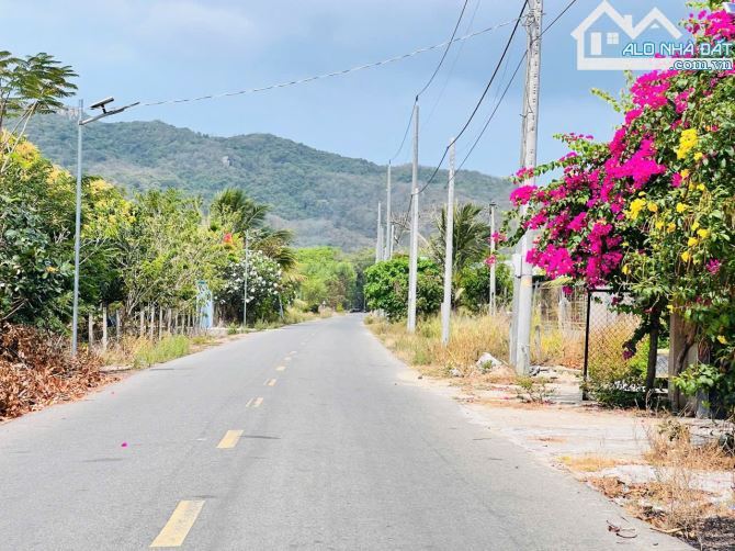 🌄 Bán đất 1800m² Thị trấn Phước Hải, view núi Minh Đạm, gần biển, giá 5.8 tỷ - 3