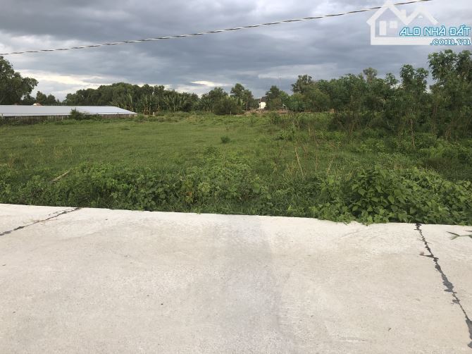🌿 Bán đất 3550m² TT Phước Hải, 81m mặt tiền, gần biển, giá chỉ 1.4 triệu/m² - 3