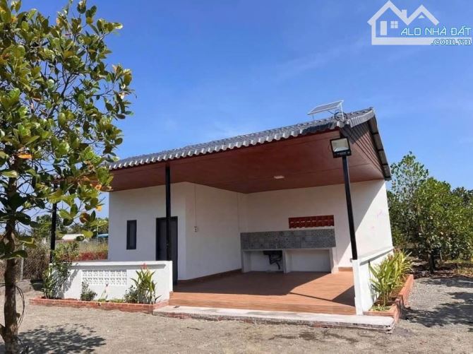 CẦN BÁN NHÀ VƯỜN CÂY ĂN TRÁI ĐÃ THU HOẠCH,ĐẸP,MÁT MẺ CẠNH HỒ NƯỚC LỚN, CÁCH BIỂN 20km - 3