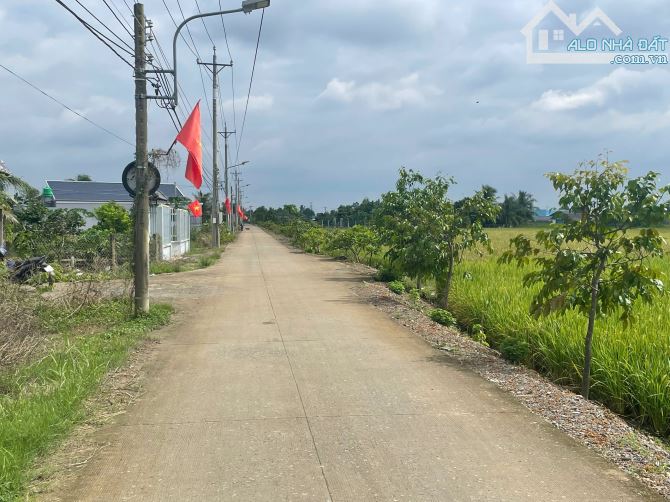 CẦN BÁN – 1.255,4m² ĐẤT LÚA GIÁ RẺ TẠI ẤP 3, CẦN GIUỘC, TÂY NINH - 3