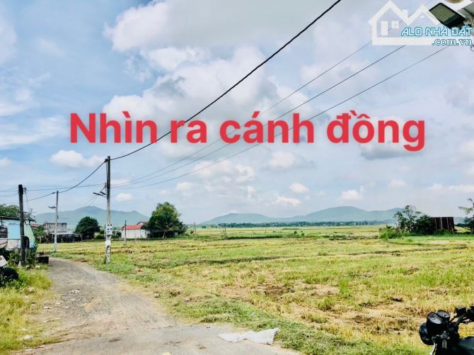 🌄 VIEW ĐẸP QUÁ – ĐẤT 1150M² GẦN BIỂN VÀ QUẢNG TRƯỜNG PHƯỚC HẢI - 3