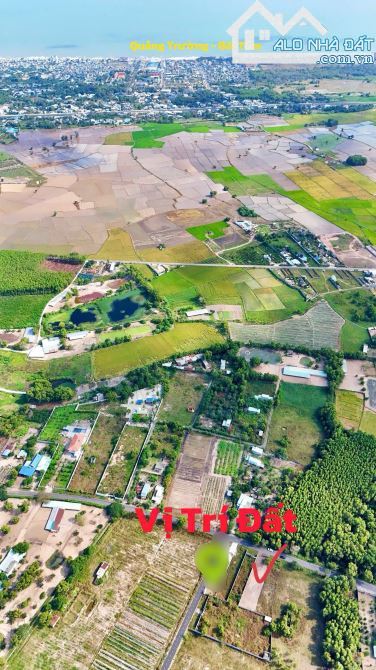 🌿 LÔ ĐẤT BIỆT THỰ VƯỜN ĐẸP TT PHƯỚC HẢI – 612.8M², GIÁ 4.3 TỶ - 3