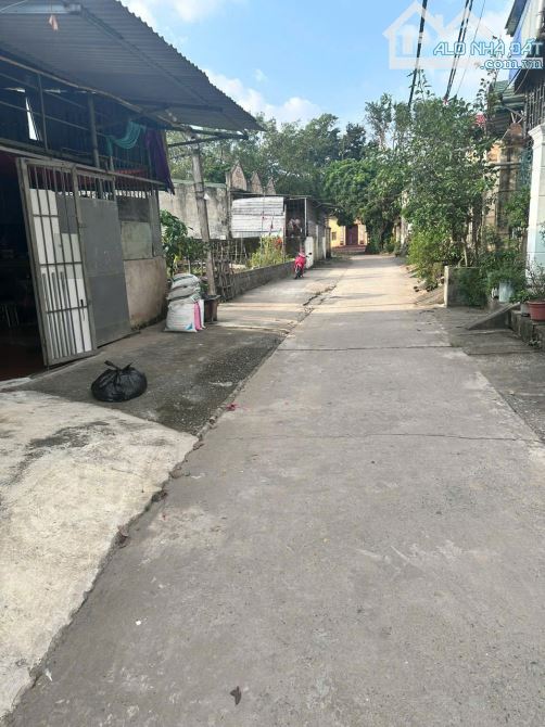 Bán đất Thắng Lợi, Thường Tín, trục chính ô tô tránh, tặng nhà 1 tầng 100 m2, 4 tỷ 950 - 3