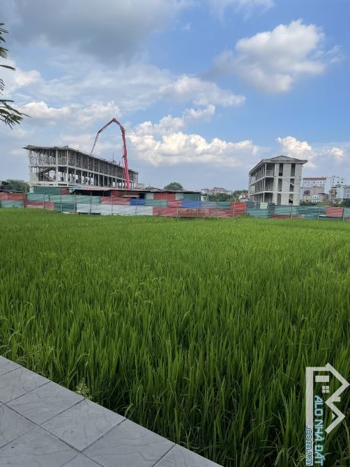 HÀNG HIẾM ✅KIM CHUNG HÀNG ĐẸP 50m2 giá 3,2TỶ 2BA BÁNH TRÁNH NHAU - 3