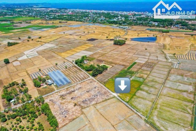 🌿 BÁN ĐẤT TT PHƯỚC HẢI – VIEW NÚI, GẦN BIỂN, 689.5M² – GIÁ 4.2 TỶ - 3