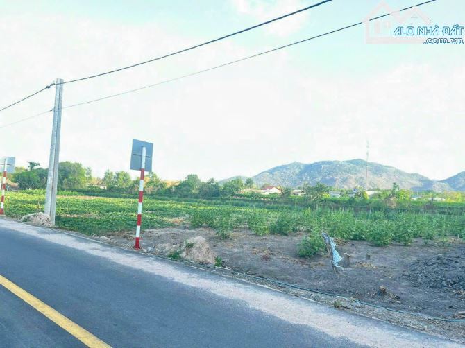 🌟 Bán Đất Long Mỹ - Đất Đỏ - BRVT Sát Nhập Thị Trấn Phước Hải - 3