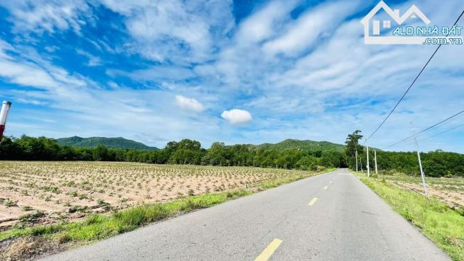 🌳 Bán Đất Long Mỹ - Phước Hải Đất Đỏ BRVT, 1800m², Quy Hoạch Đất Ở, Gần Biển - 3