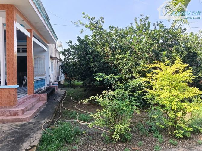 Bán lô đất 532m2 nhà vườn siêu đẹp có sẵn nhà cấp 4 , giá rẻ so với khu vực rất nhiều - 3