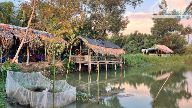Bán 4500m2 đất Lúa - Gần cầu cây khô - Cách Nguyễn Bình 120m..... - 3