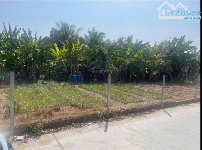 Bán gấp đất nhà vườn thổ Phú Hữu Nhơn Trạch giá rẻ 1,6tr/m. SR chính chủ.GỌI NGAY 24/24H - 3