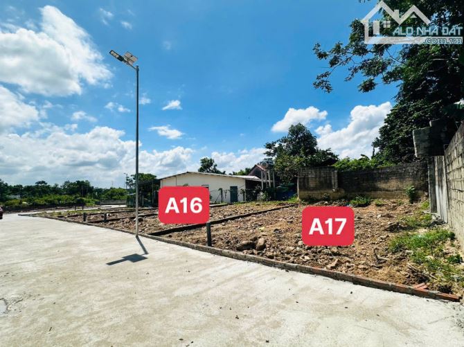 🌺 BÁN GẤP lô đẹp Đại Đình, Tam Đảo DT120m mt6m SĐCC giá chỉ 390 TRỆU - 1