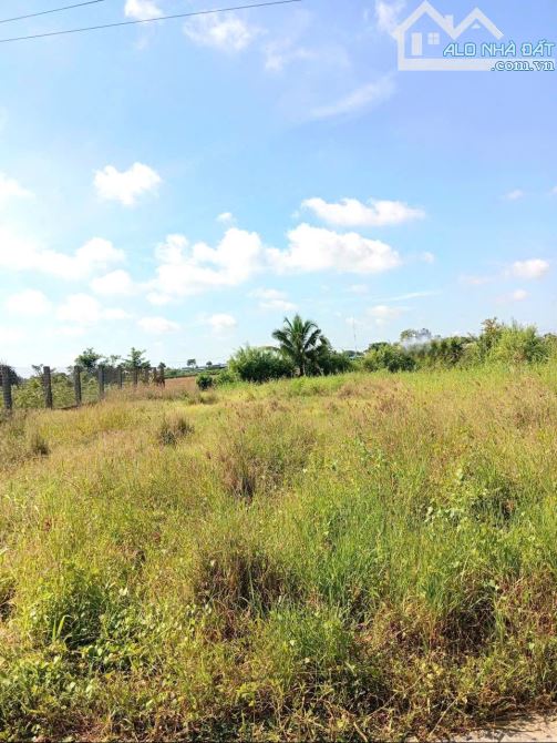 B.á.n (16x41) đất thổ, ôtô gần ngã tư Bình Ân, Gò Công Đông, Tiền Giang cũ - 3