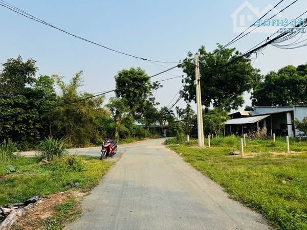 ĐẤT NGỘP CC GỬI RA GẤP LÔ ĐẤT NGAY TT.CỦ CHI - 3