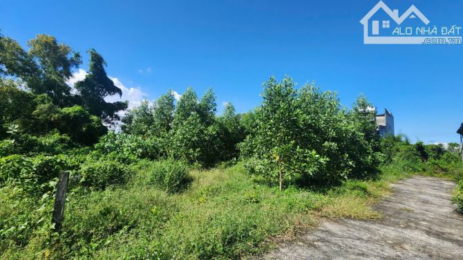 Bán 1340m2 đất Hẻm Lê Minh Công, Tân Phước, LaGi giá mềm 1.64tr/m2 gần biển - 3
