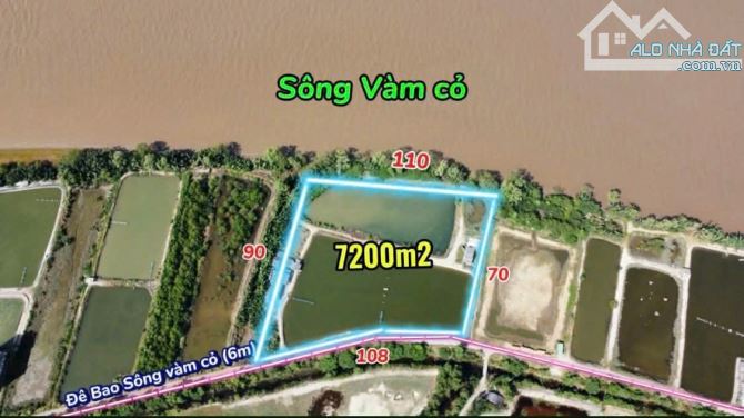 Đất lúa giáp mặt tiền sông và đê bao sông Vàm Cỏ Đông DT: 110x70m - 3