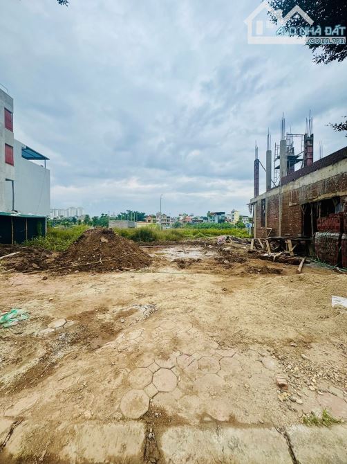 Đấu giá Huỳnh Cung - Thanh Trì 79m đất, mặt tiền 6m, giá 15.6 tỷ thương lượng - 3