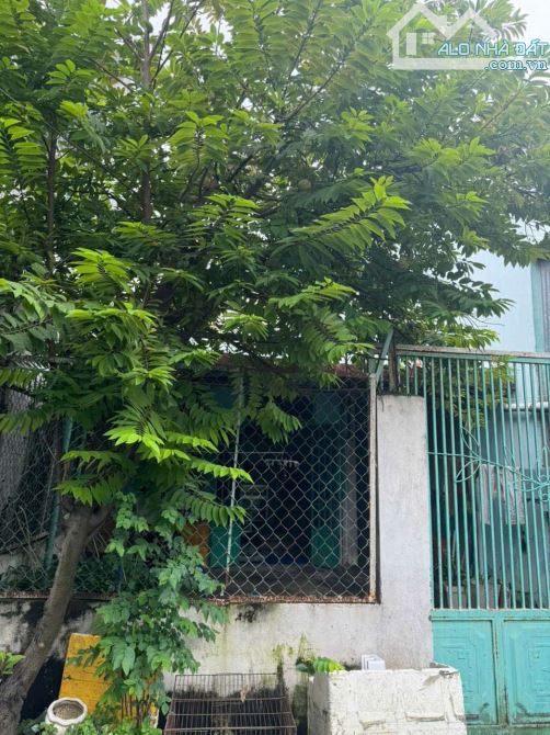 Bán Nhà Huỳnh Thị Hai, 88m2, ngang 5/5.3m Hẻm xe hơi ngủ trong nhà - 3