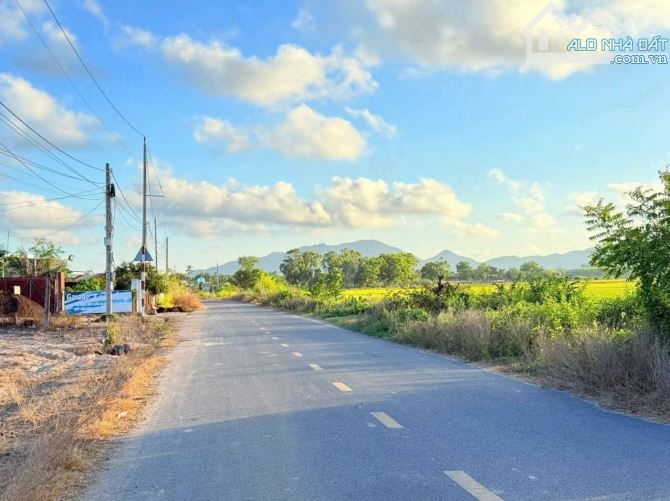 10x33m phước hội gần biển giá 2 tỷ 700 - 3