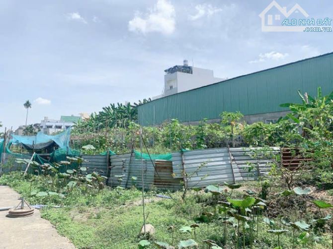 APD(TX-Q.12) bán lô đất 93m2 (5x18,6) HXH gần Thạnh Lộc 41 giá 3tỷ. - 3